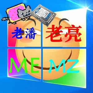 老潘老亮memz